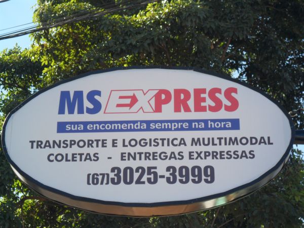 LOGOMARCA MS EXPRESS